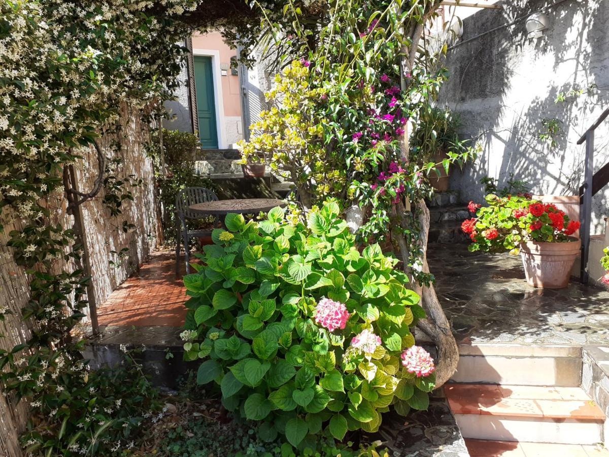 Raggio Di Luna Manarola Exterior foto